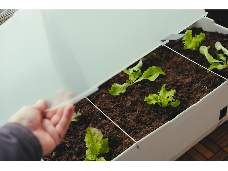 Gusta Garden Hochbeet SAMMY SALAD Starterset, Hellgrau Hochbeet mit Wassertank und Haube