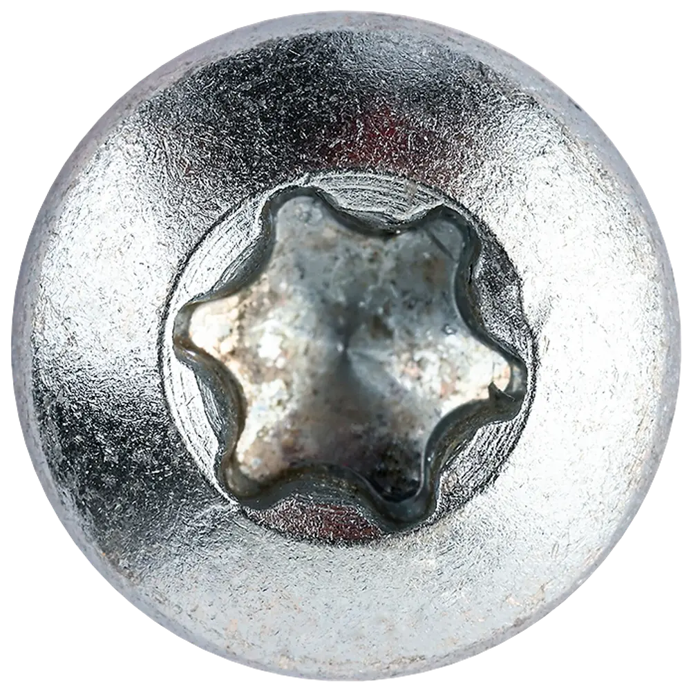Panskrue 6,0 x 80 mm TX30 50 stk.
