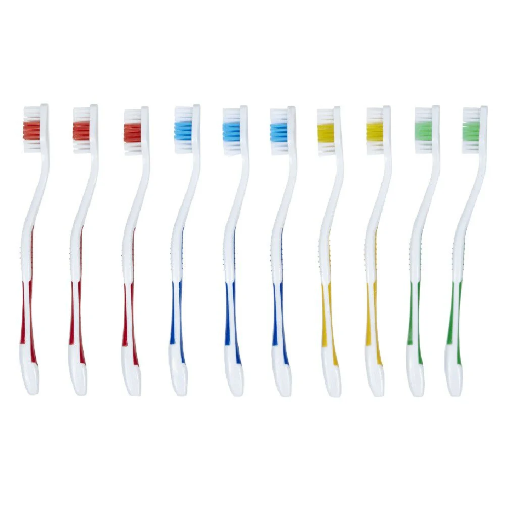 Brosse à dent x10