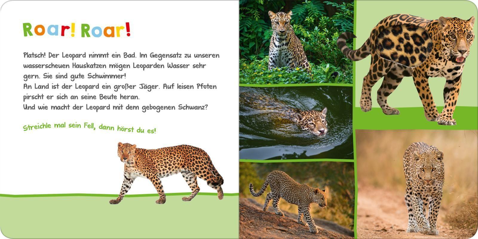 Hör mal rein, wer kann das sein? - Im Dschungel