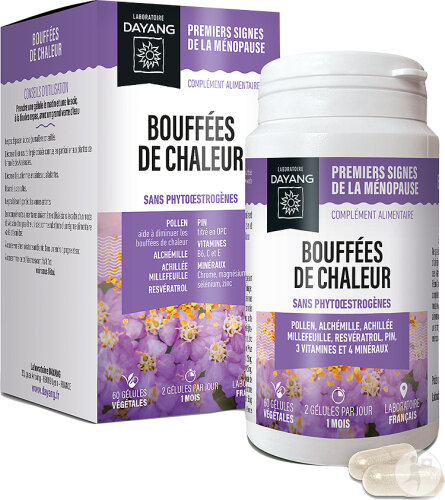Dayang Bouffées De Chaleur 60 Gélules