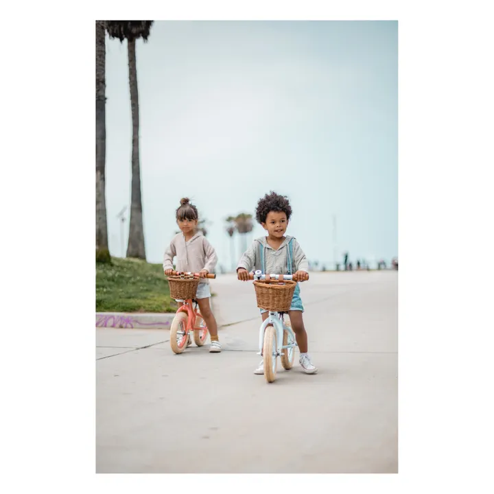 Banwood Draisienne First Go 12