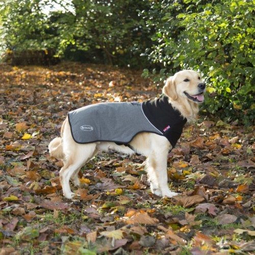 Casaco térmico para cães, cinza