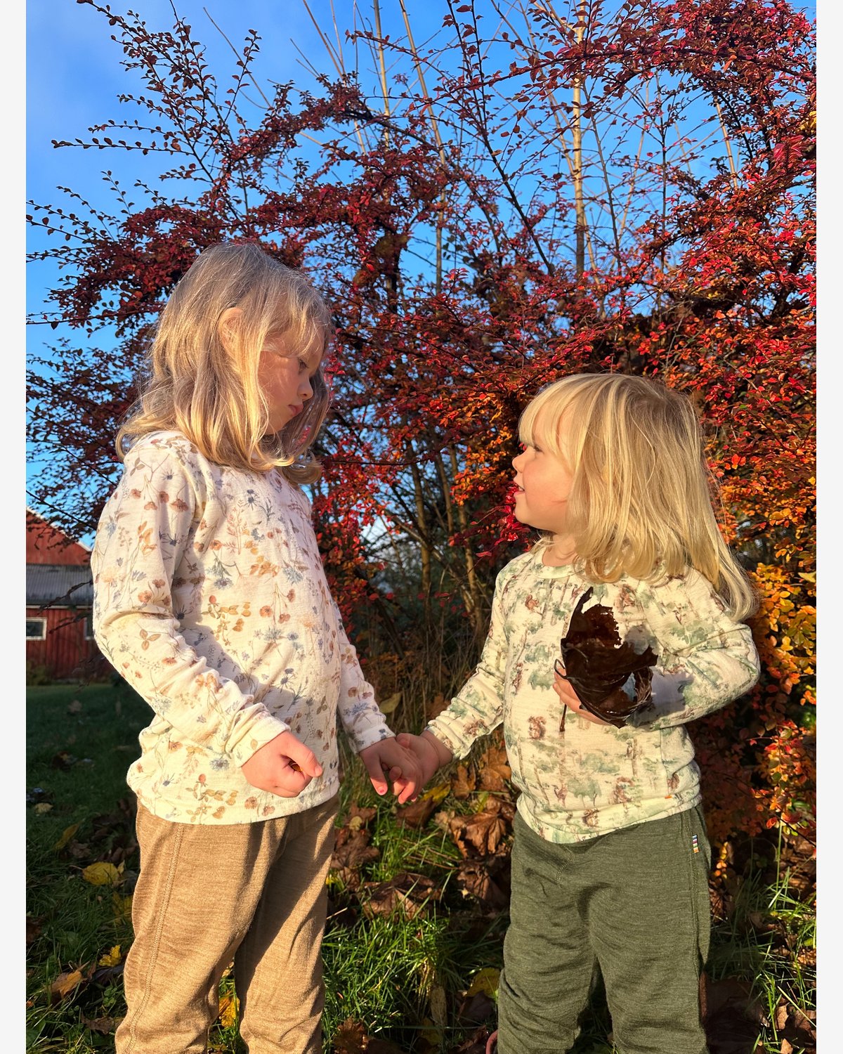 Ulltrøye Langermet – 100% Merino