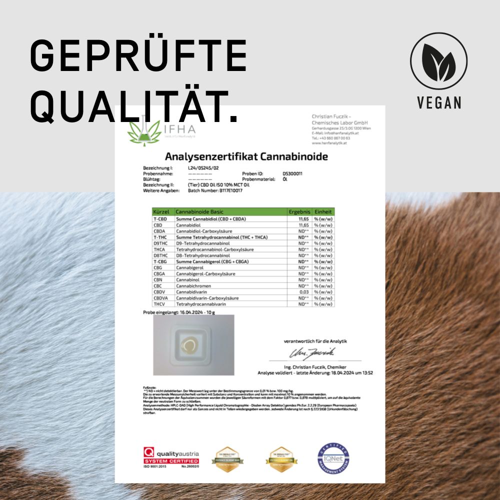 ORGANIC ELEMENTS CBD-Öl für Hunde & Katzen 10%