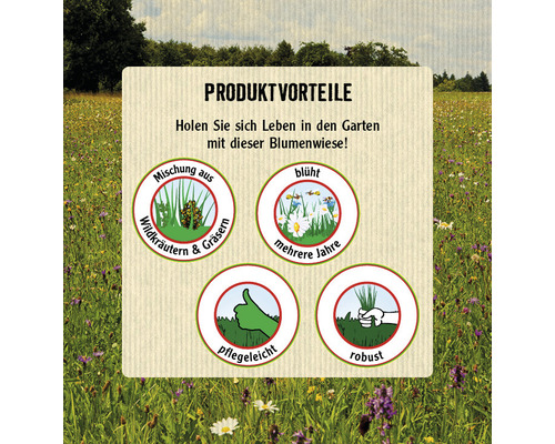 FloraSelf 'Wildflower Mix' wilde bloemenweide zaden 1 kg 50 m² DE/FR/RO