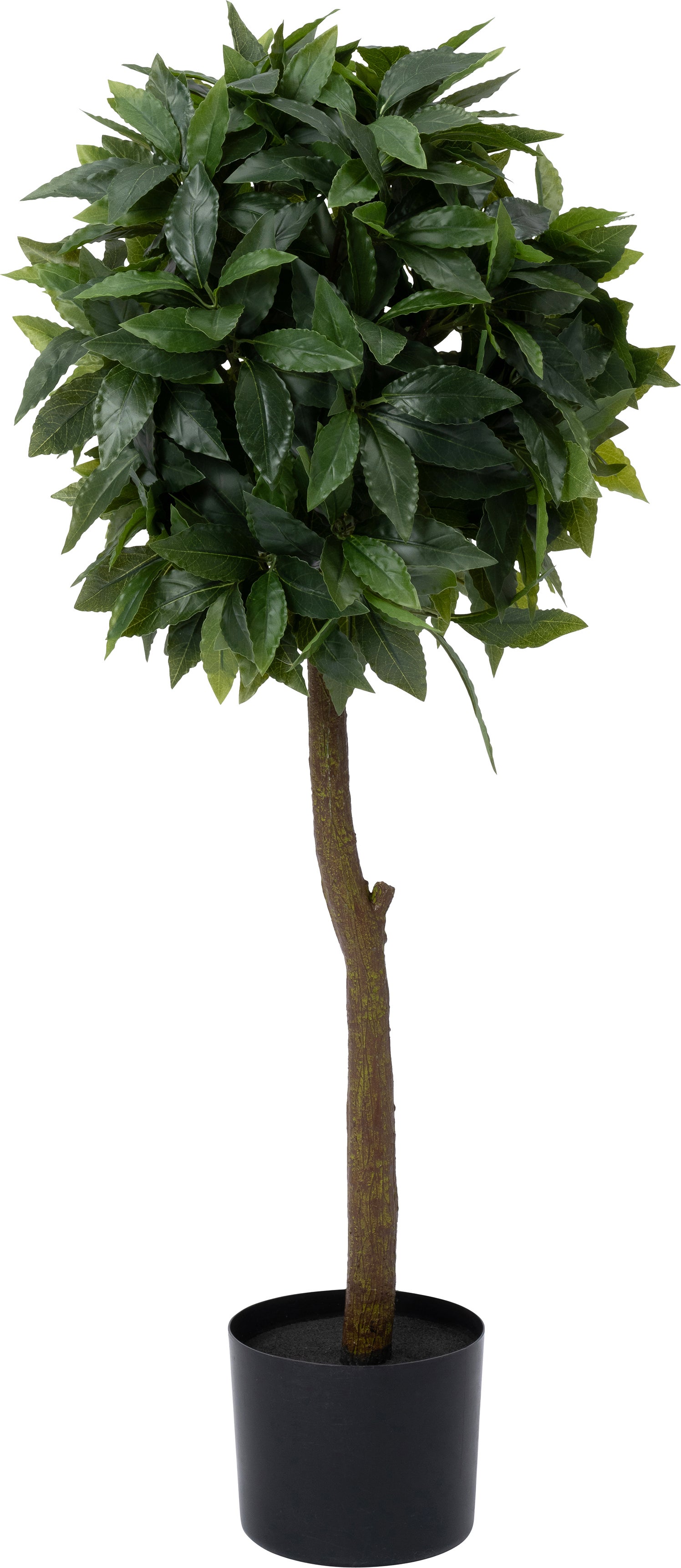 Intratuin kunstplant Laurier35 x 35 x 90 cm