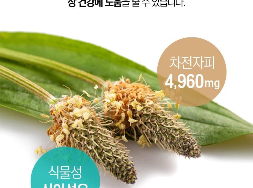 Daejang Sarang - Premium