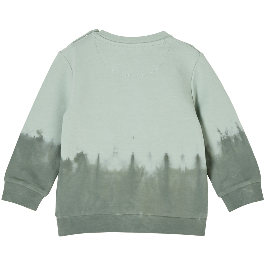 s.Oliver Sewatshirt mit Frosch-Print