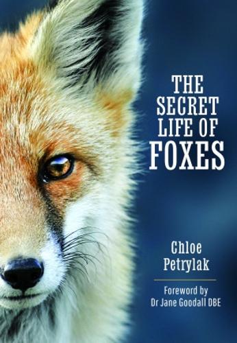 The Secret Life of Foxes (Hardback)