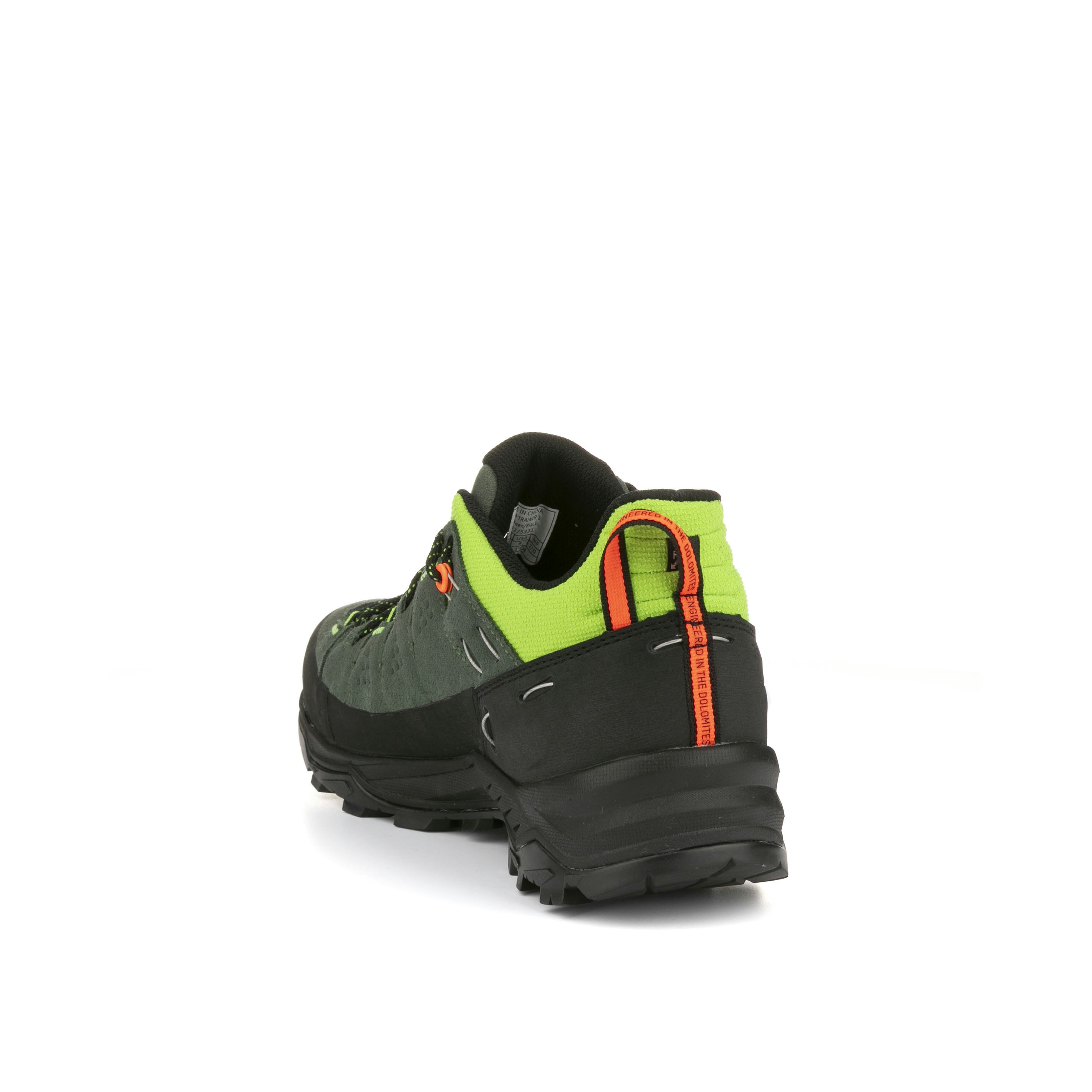 Alp Trainer 2 Schuh Herren