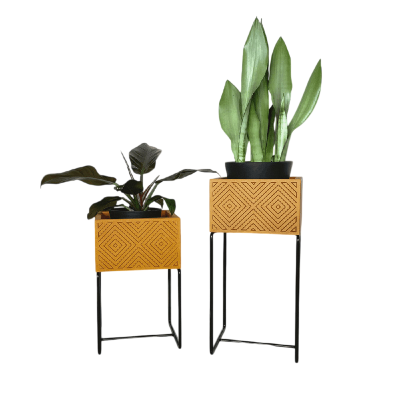 Nevi the plantbox Senfgelb, Schwarz M