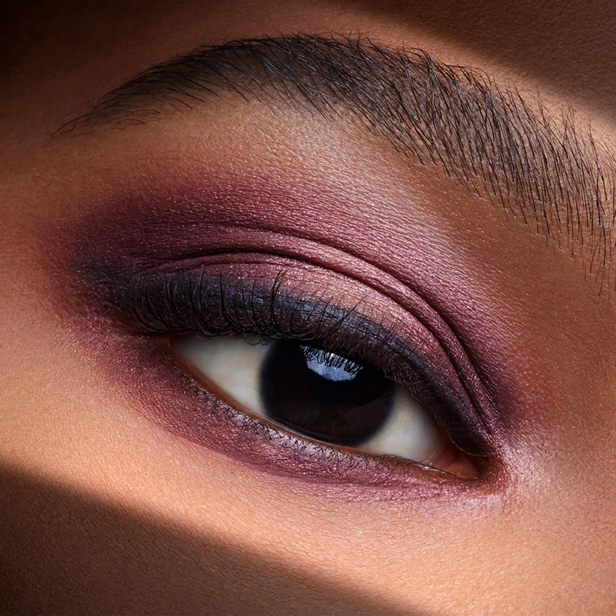 ESTEE LAUDER Pure Couleur Envy Ombres à paupières Sculptantes