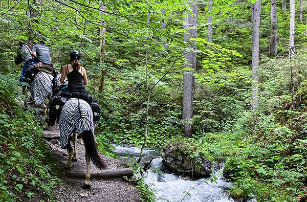Wanderreiten Aschbach