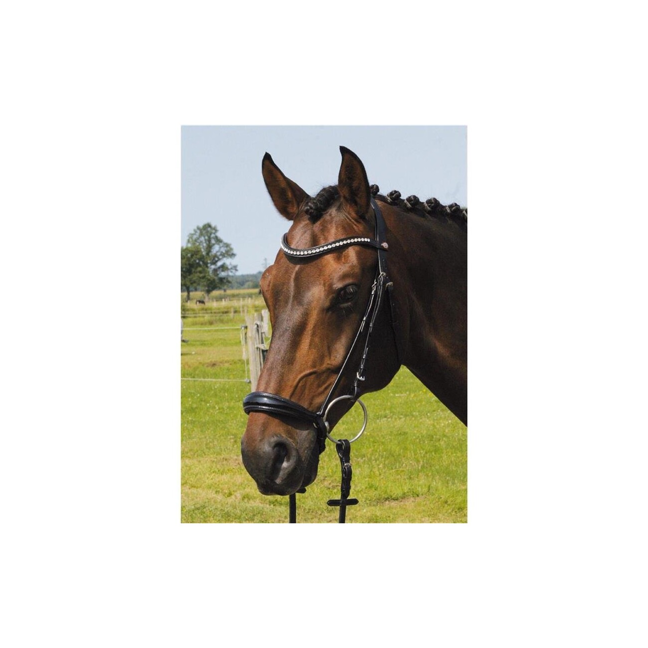 Hans Melzer Horse Equipment Hans Melzer Trense Valluhn schwarz/silber hannoversches Reithalfter schwarz unterlegt LACK VB/ COB (Vollblut)