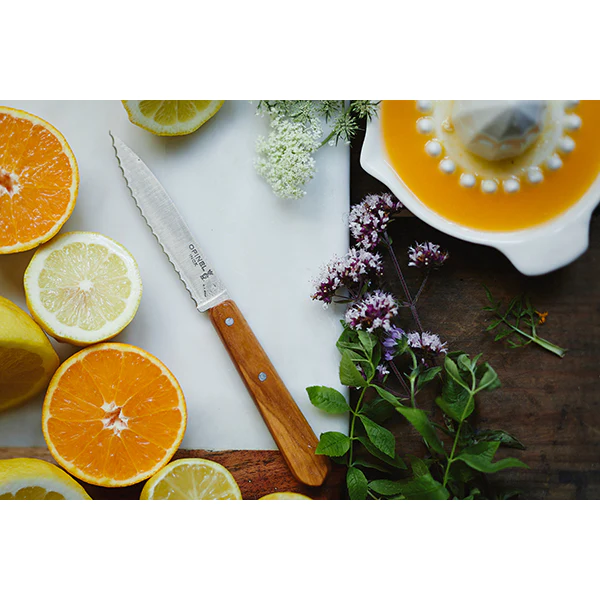 Coffret Les Essentiels Olivier Opinel