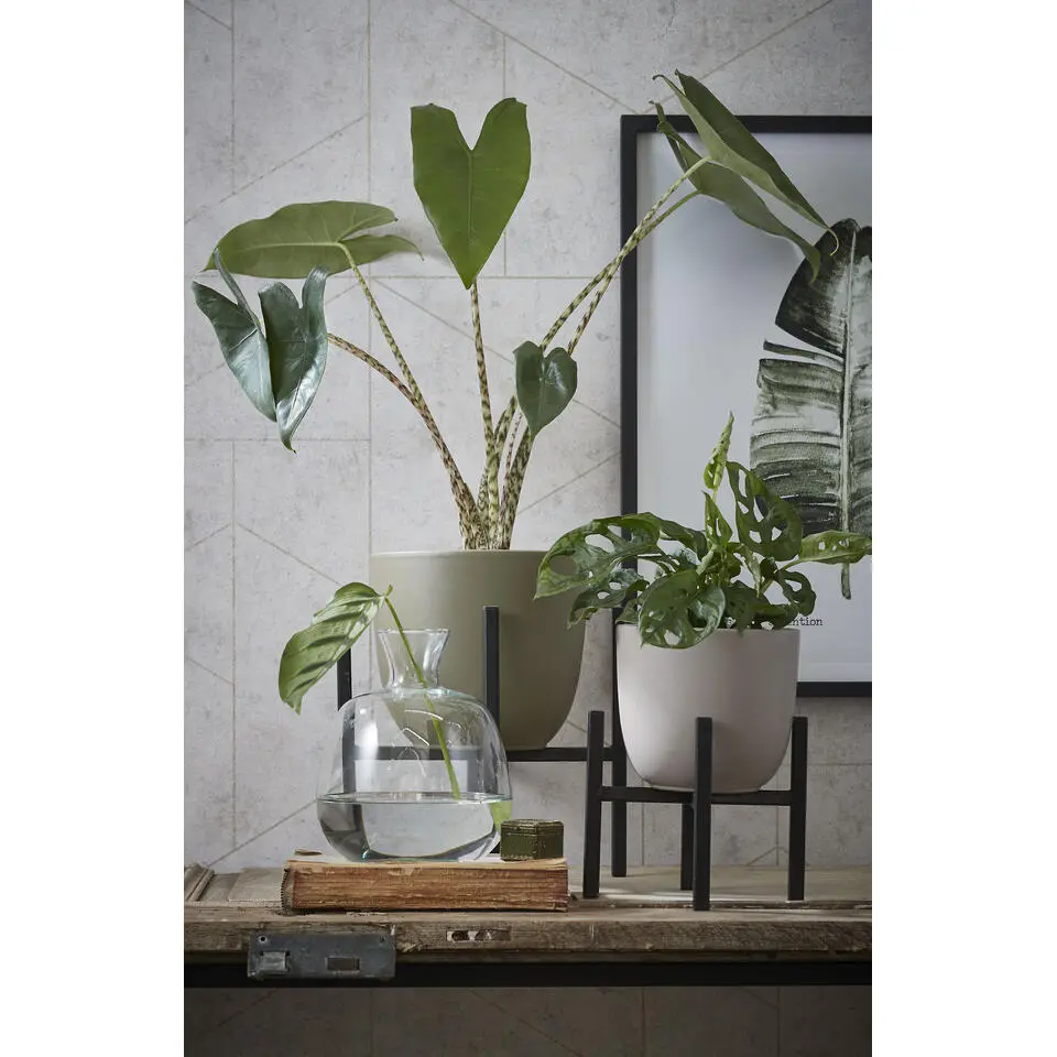 Mica Decorations Ascot Plantenstandaard L24 x B24 x H25 cm Zwart