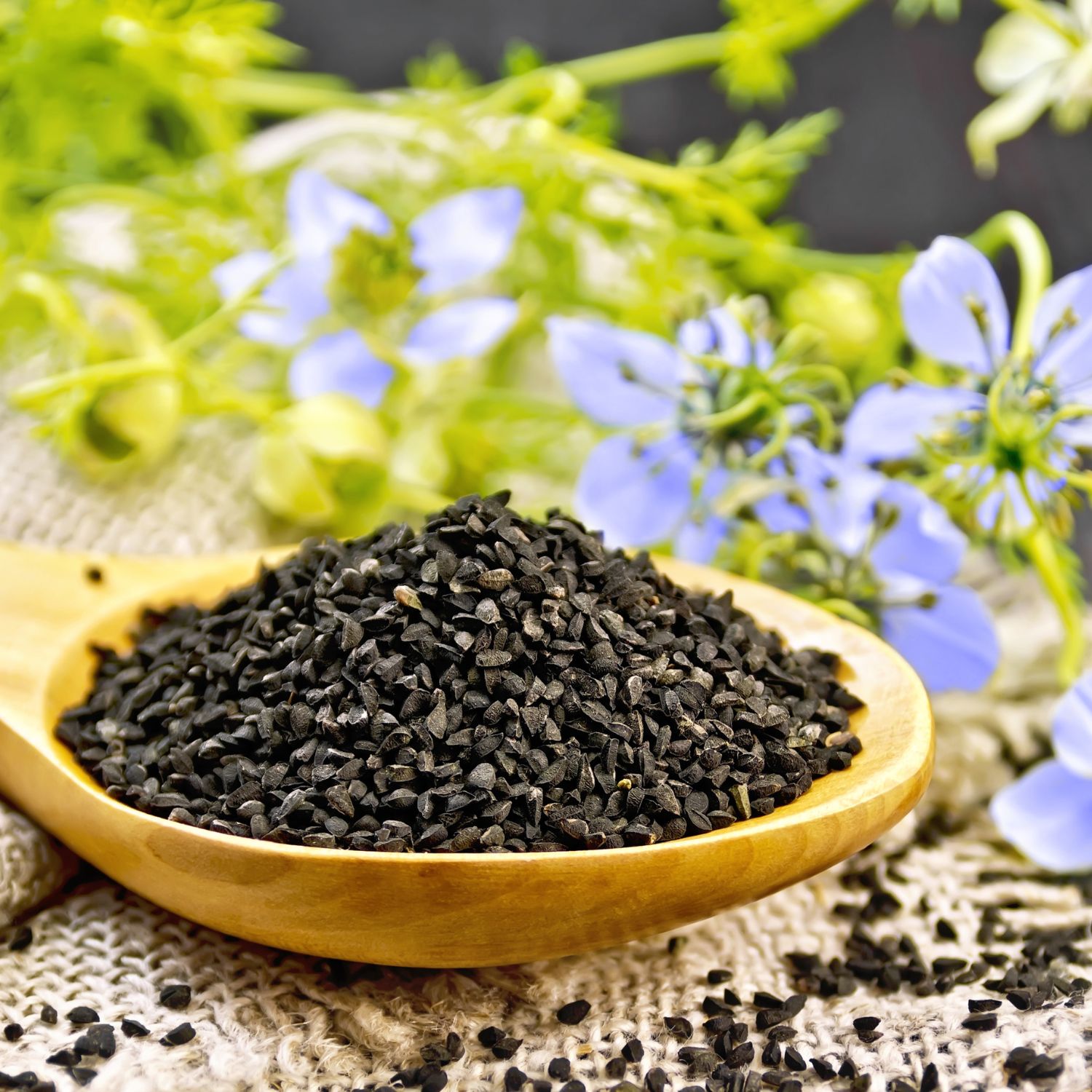 PEPPERMINTMAN Schwarzkümmel, Bio