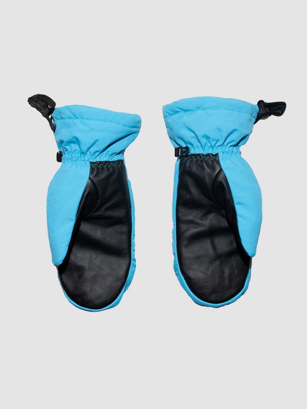 Salmon Arms Classic Mittens rainbow