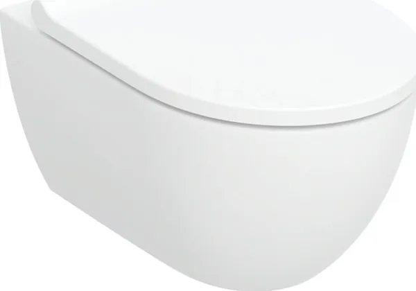 Geberit Acanto væghængt WC-skål, tragtformet, B36cm, H38,5cm, T53cm, skjult montering, med TurboFlush skylleteknologi, med toiletsæde, topmonteret, free-flush, med aftagelige hængsler [6]