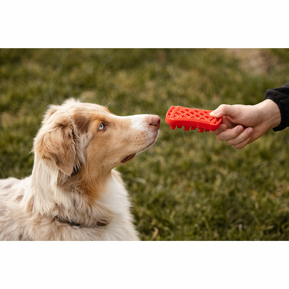 Brosse grands chiens à poils longs rouge