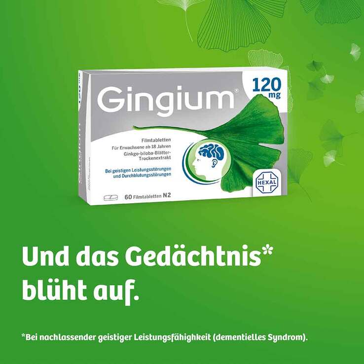 Gingium 120 mg Filmtabletten, 2x120 St