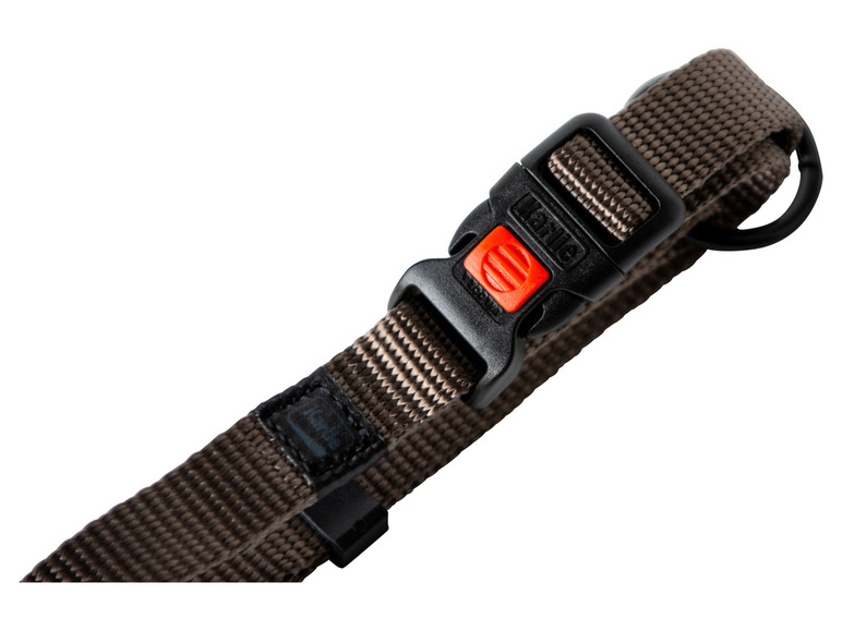 Halsband met lijn