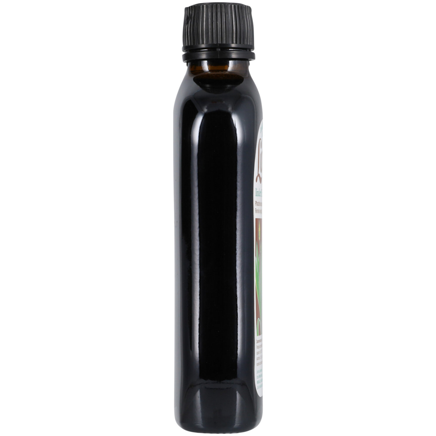 Lindol Spitzwegerichkraut Husten-Sirup