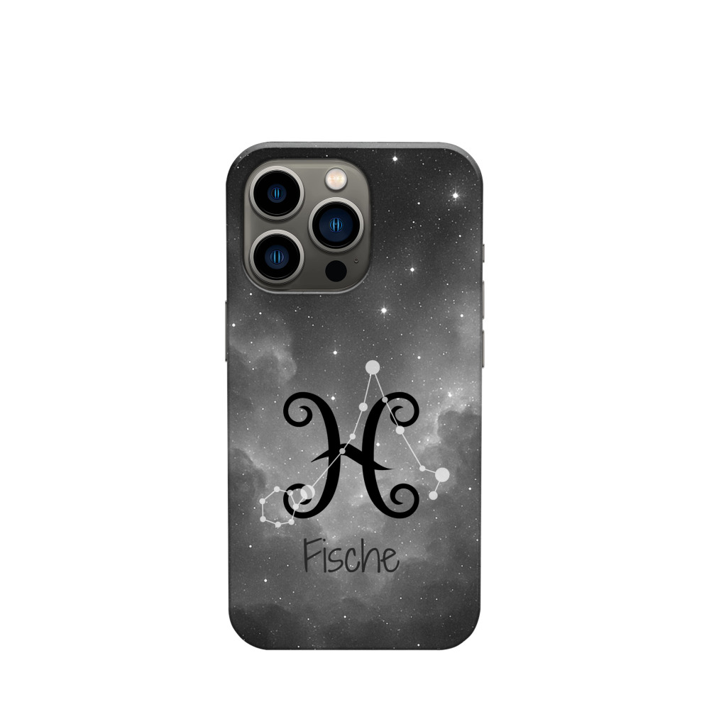 iPhone 13 Pro Kunststoff Hülle Fische 4 - Grau