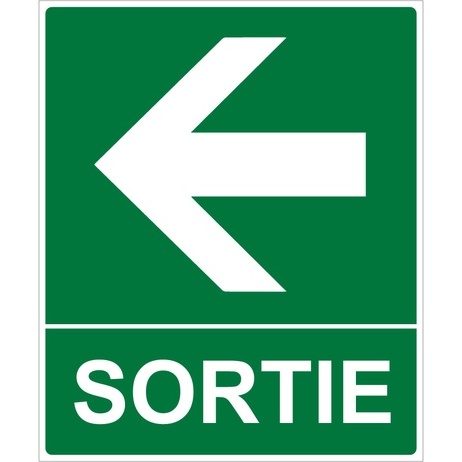 Panneau Sortie Flèche gauche -300 x 250 mm- Photoluminescent