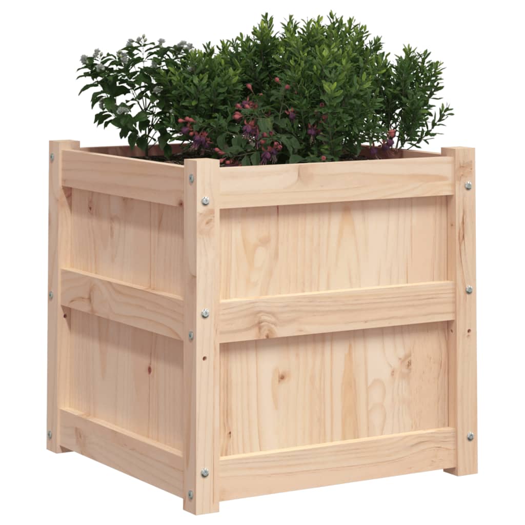 Jardinières 2 pcs bois de pin massif