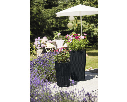 Lechuza Cubico Cottage 30 zwarte plantenbak inclusief zelfbewateringssysteem