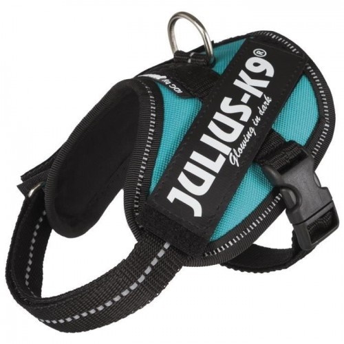 Coleira de Reforço Julius K-9 Azul IDC para Cães