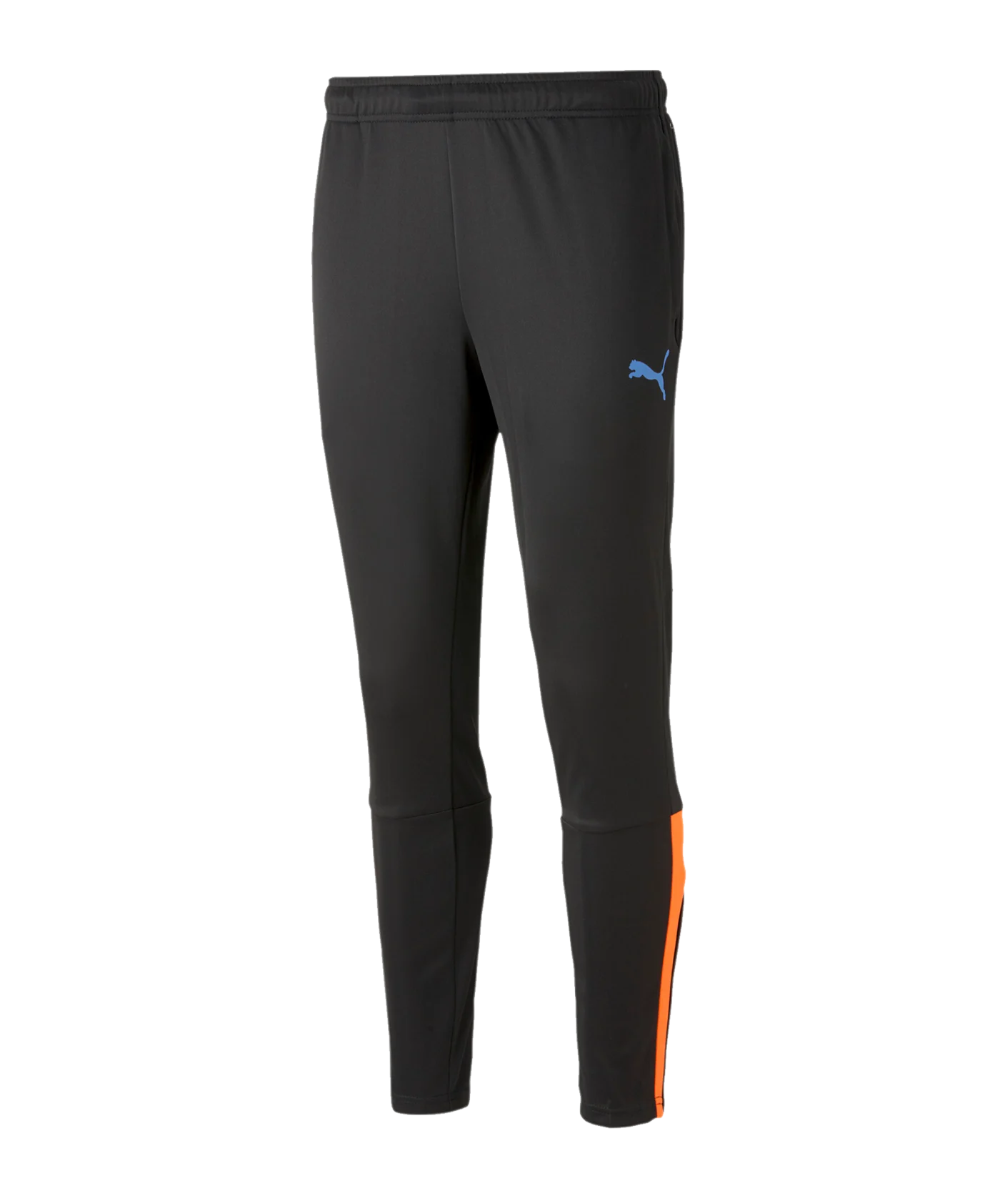 PUMA teamLIGA Trainingshose Schwarz F50