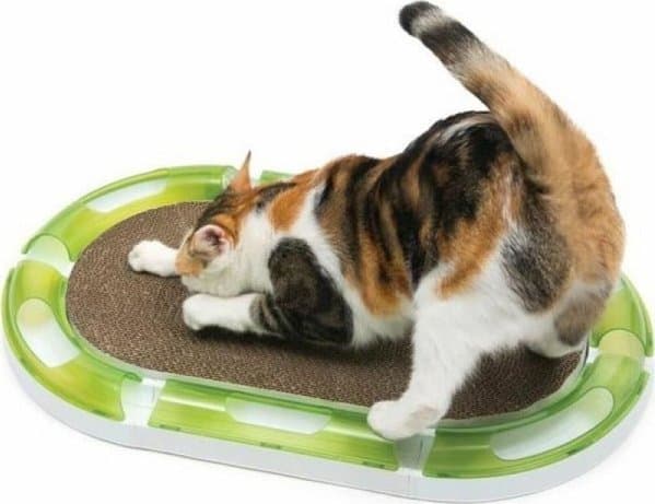 Catit Senses 2.0 Oval Scratcher, papp, for Catit-baner