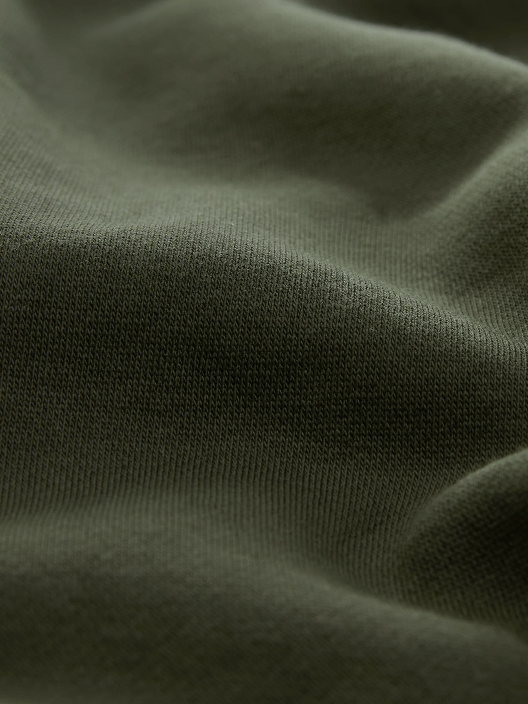 Kakigroen - Normale Pasvorm - Zwaargewicht Cotton Rich Jersey Hoodie