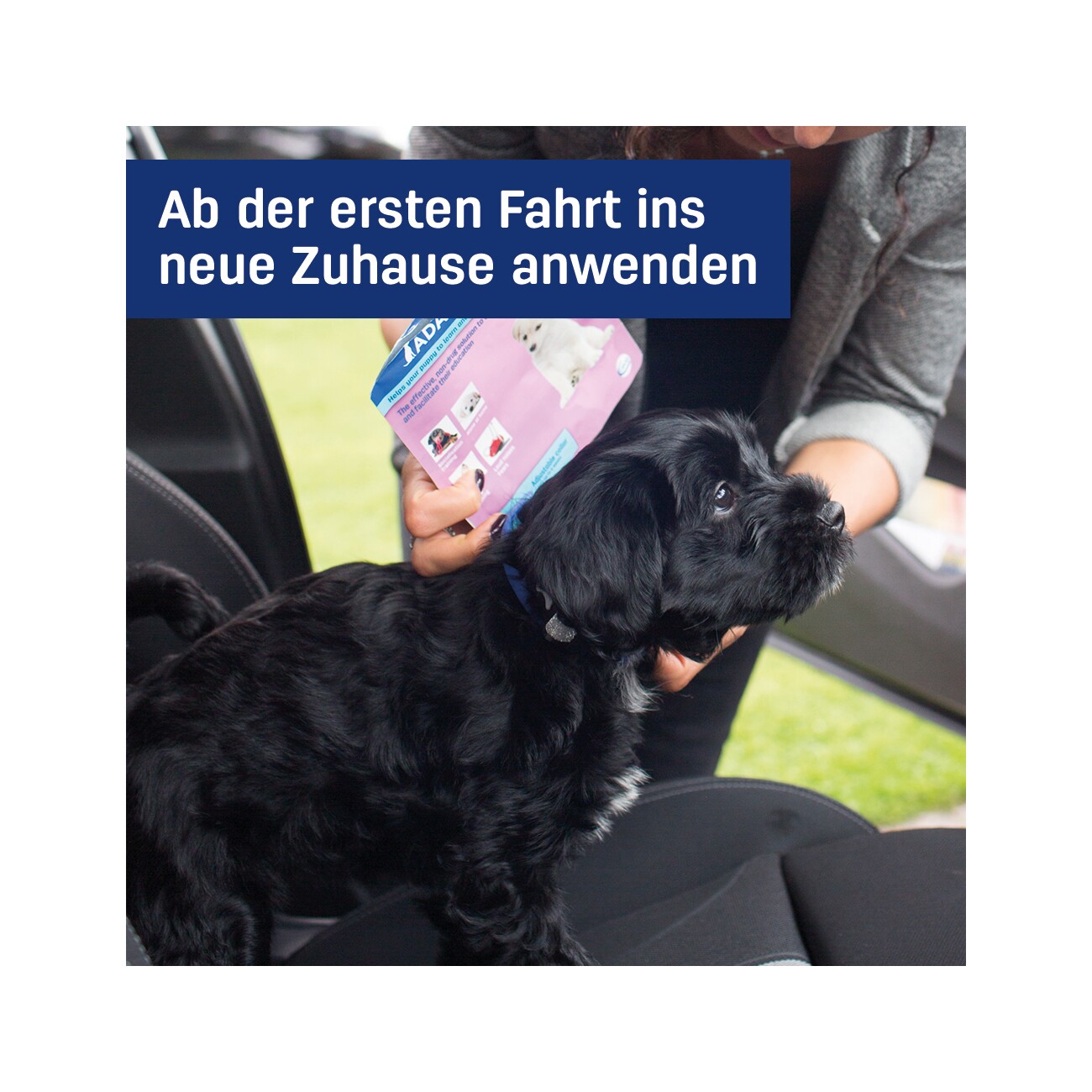ADAPTIL Junior Halsband Anti Stress Erziehungshalsband