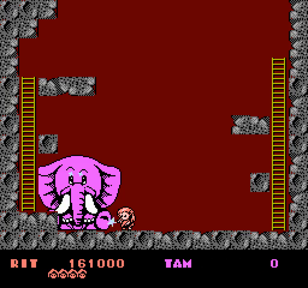 Rod Land (Collectors Edition)- Game Boy Color