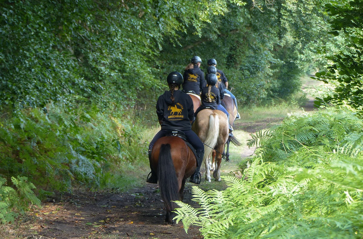 Ausritt für Anfänger Bad-Doberan