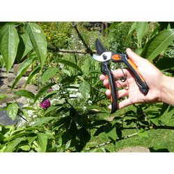 Sécateur de jardin Garten Primus