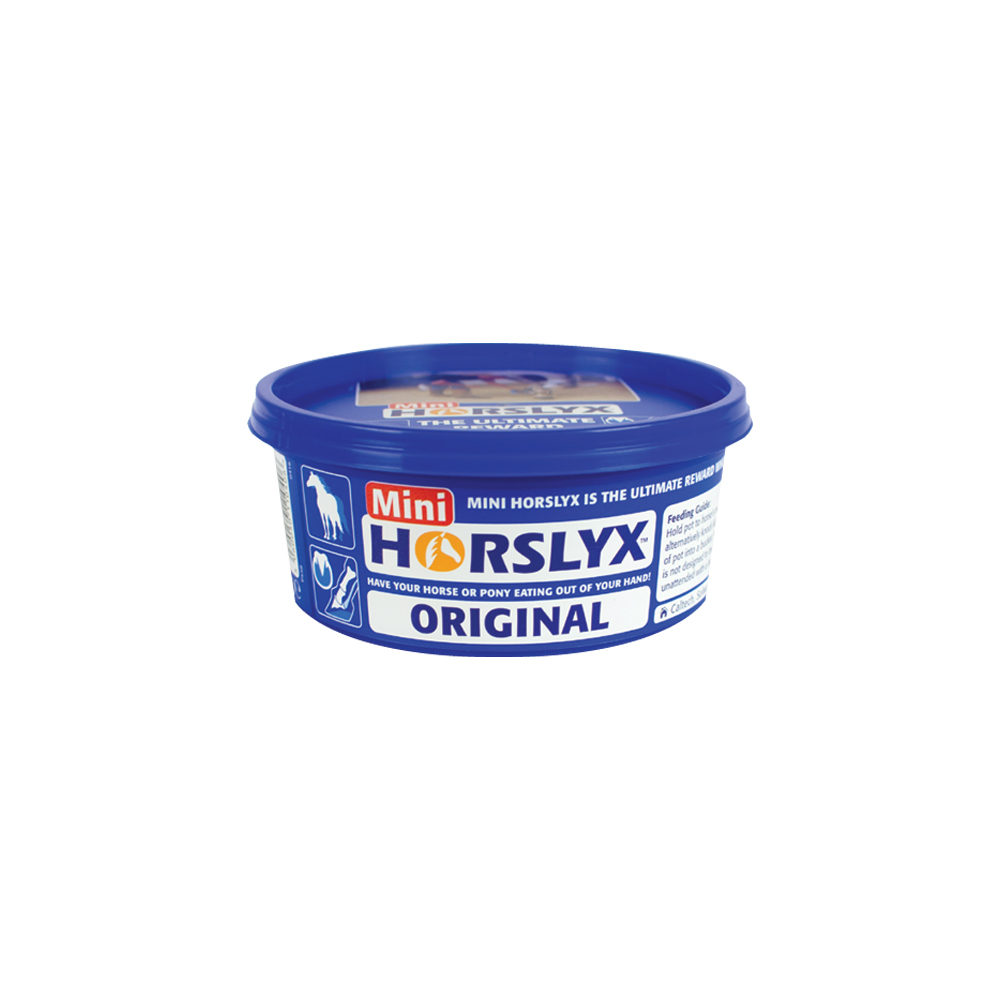 Horslyx Mini Liksteen