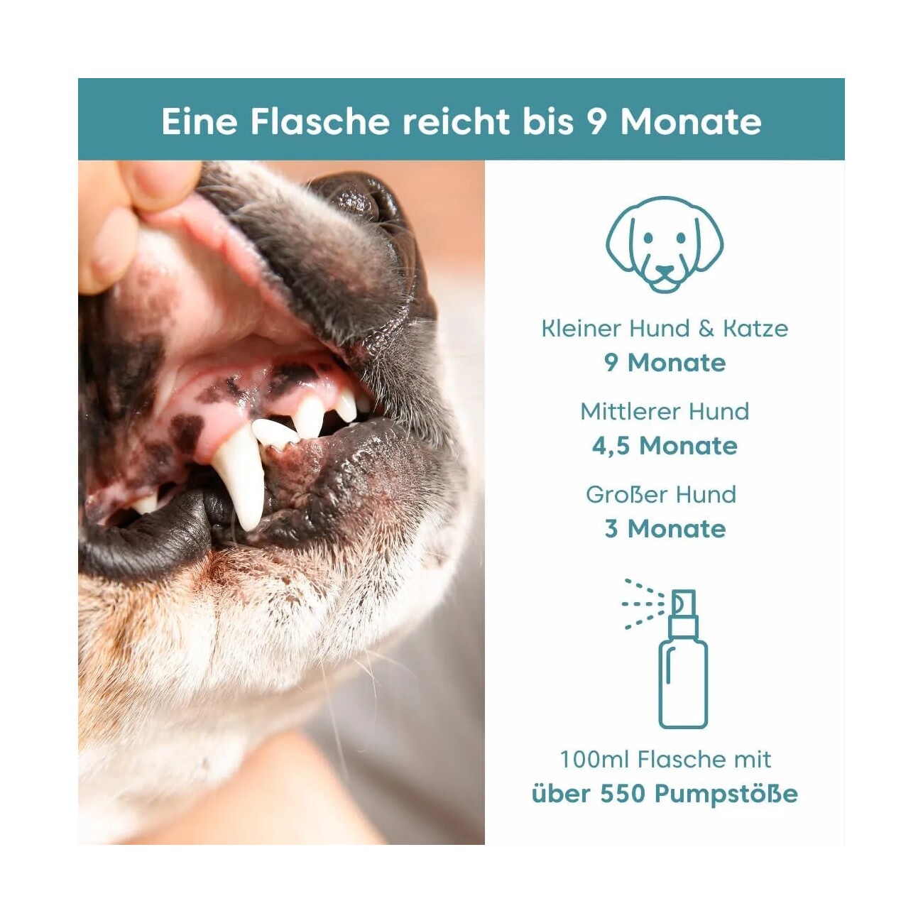 Pfotenkumpels Dentalspray Dentalfee 100ml