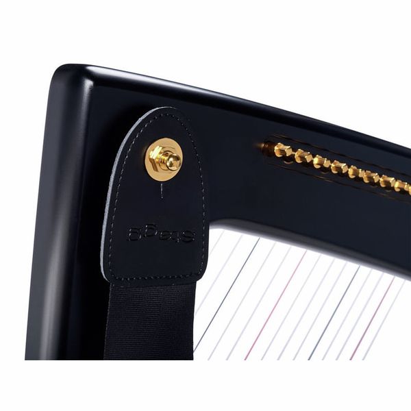Salvi Delta Electric Harp
