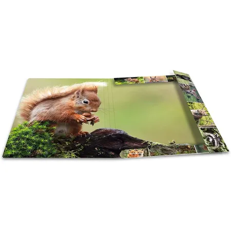 HERMA 19451 Sammelmappe DIN A3 Tierwelten Waldtiere, stabile Pappe