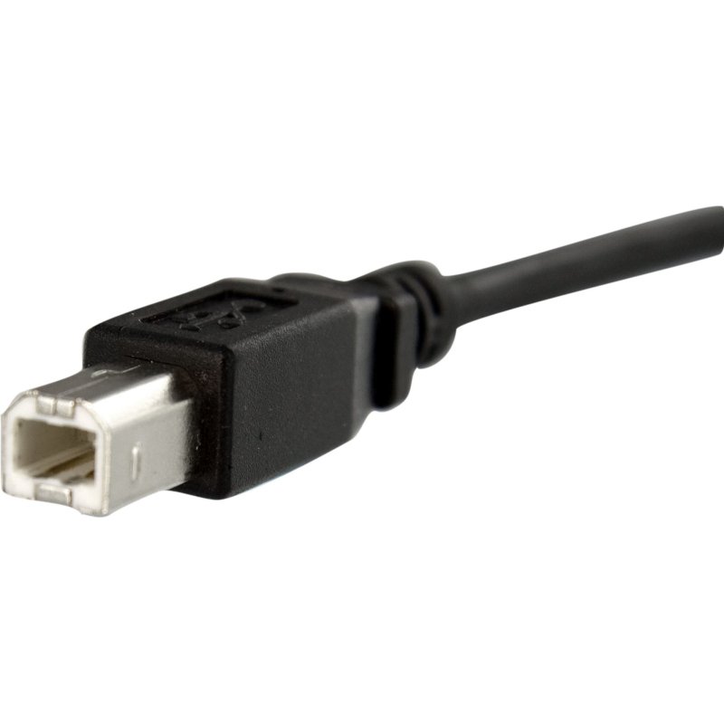 StarTech.com Câble USB 30 cm monté sur panneau B vers B - F/M