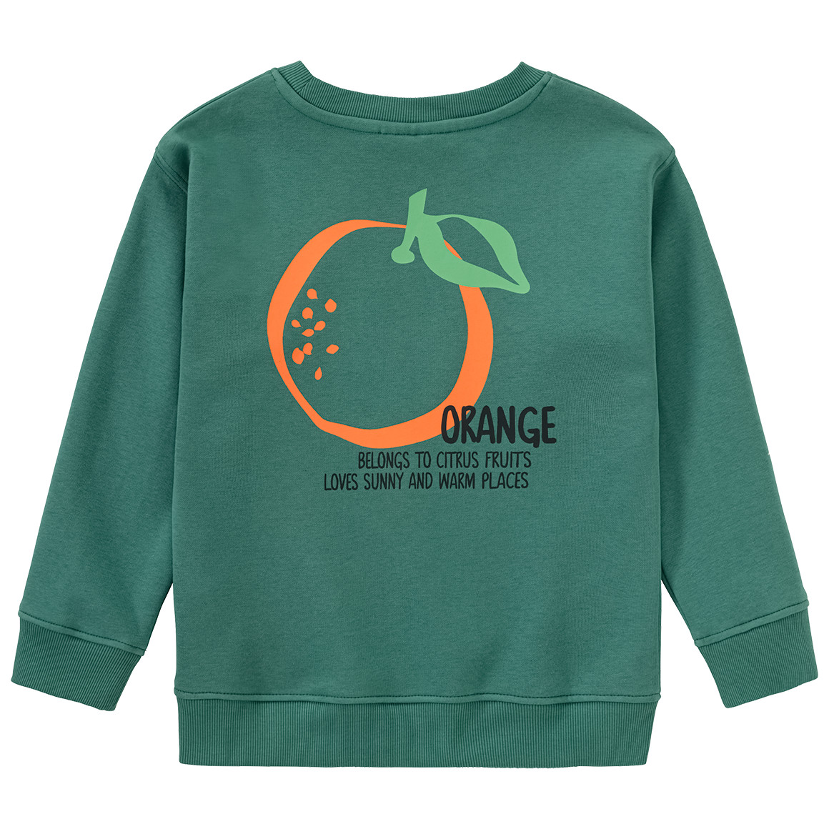 Jonas Nielsen Jungen Sweatshirt mit Orangen-Print dunkelgrün