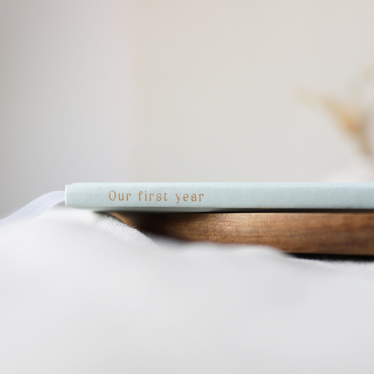 Baby-Tagebuch „Our first year