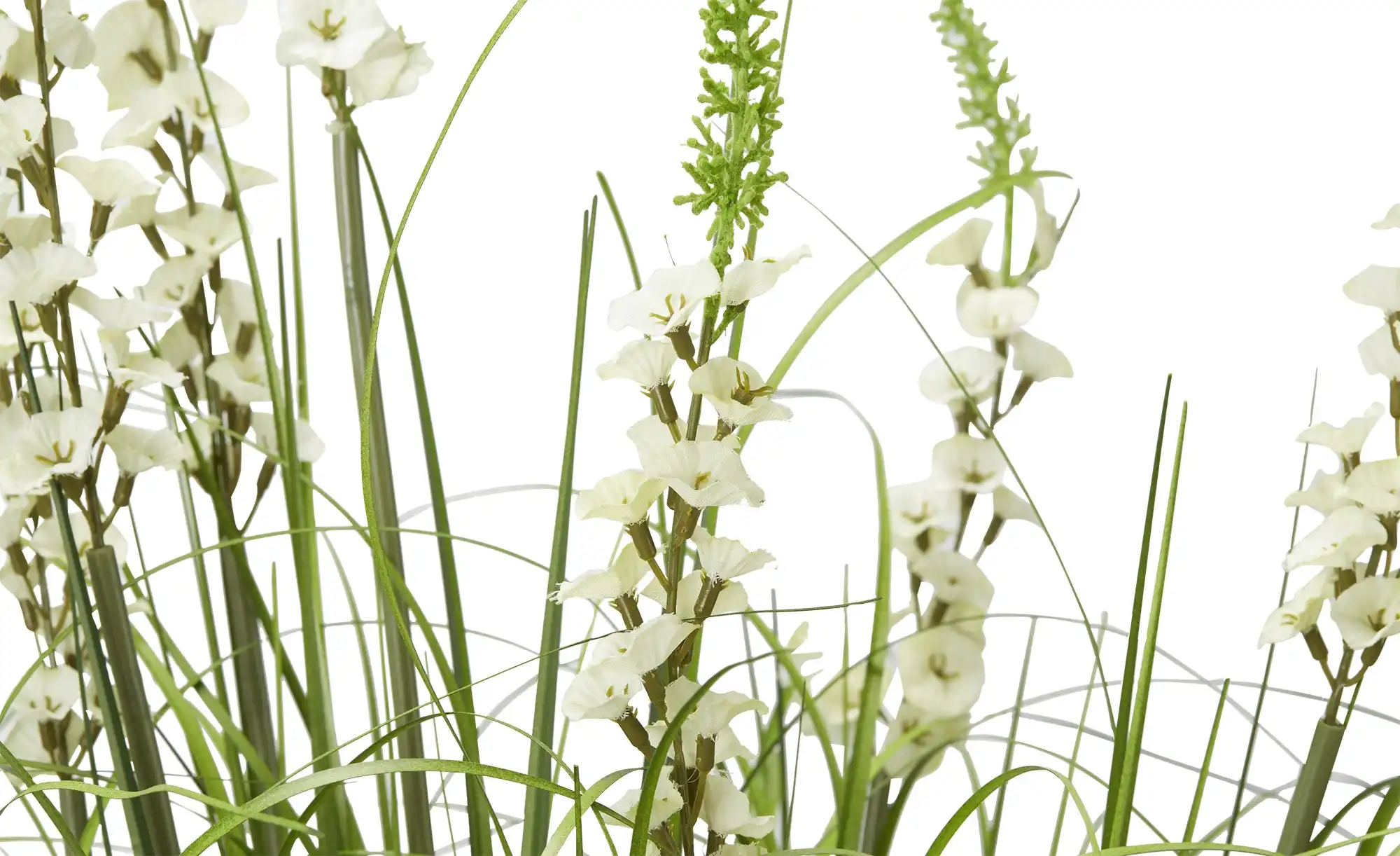 Glockenblume getopft