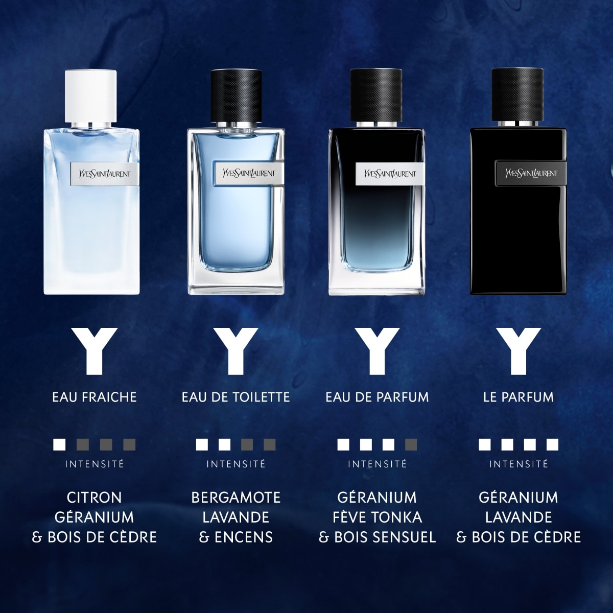 YVES SAINT LAURENT Y Eau de Toilette