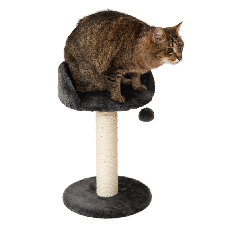 Arbre à chat Enio